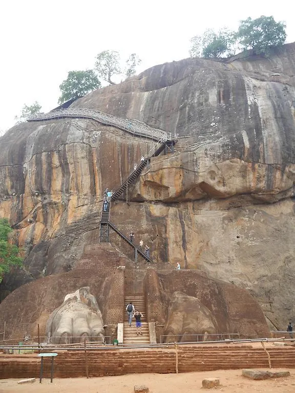 Sigiri Sara Home Stay Nice Village Sigiriya Homestay