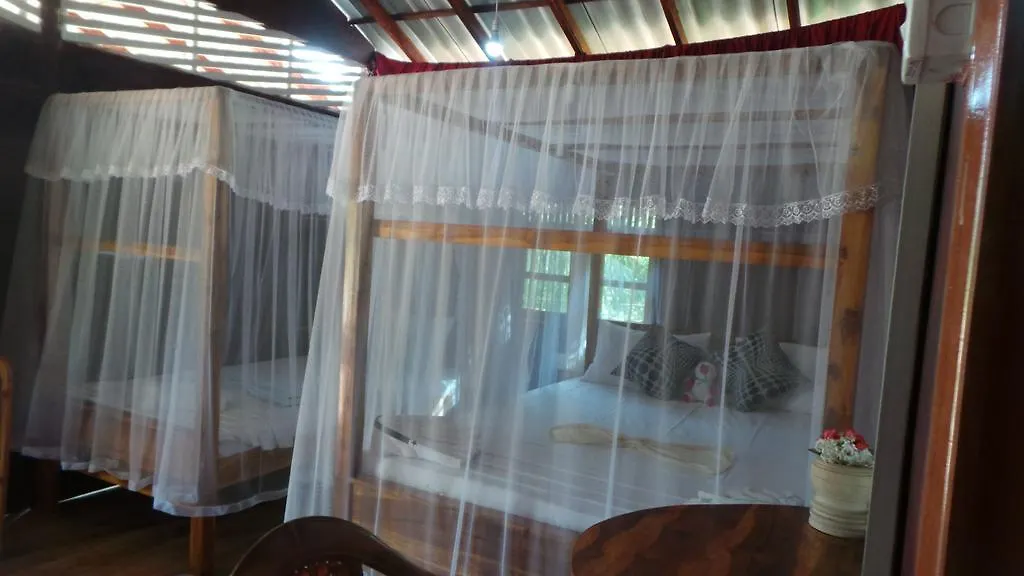 Homestay Sigiri Sara Home Stay Nice Village Sigiriya Sri Lanka